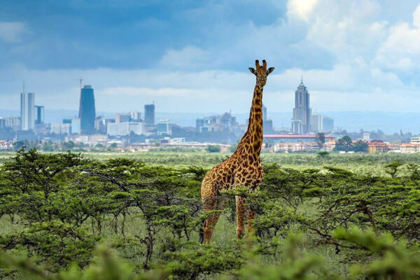 Nairobi City Tour