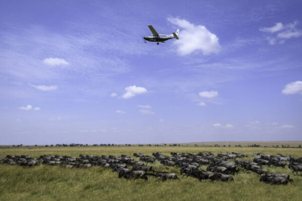 5 Days Maasai Mara – Naivasha Safari