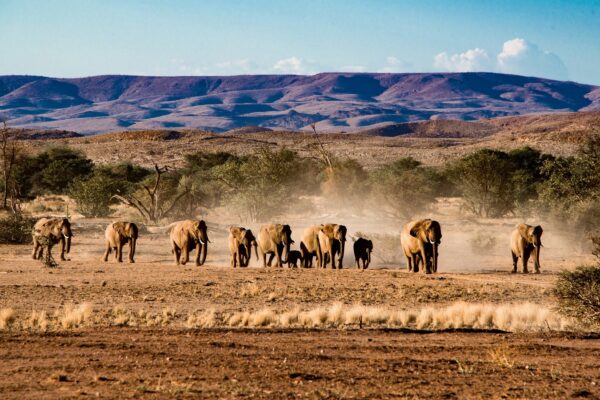 6-Day Namibia Luxury Safari