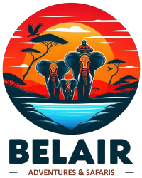 Belair Adventures & Safaris