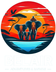 Belair Adventures & Safaris
