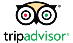 tripadvisor-logo-png_seeklogo-222085(1)
